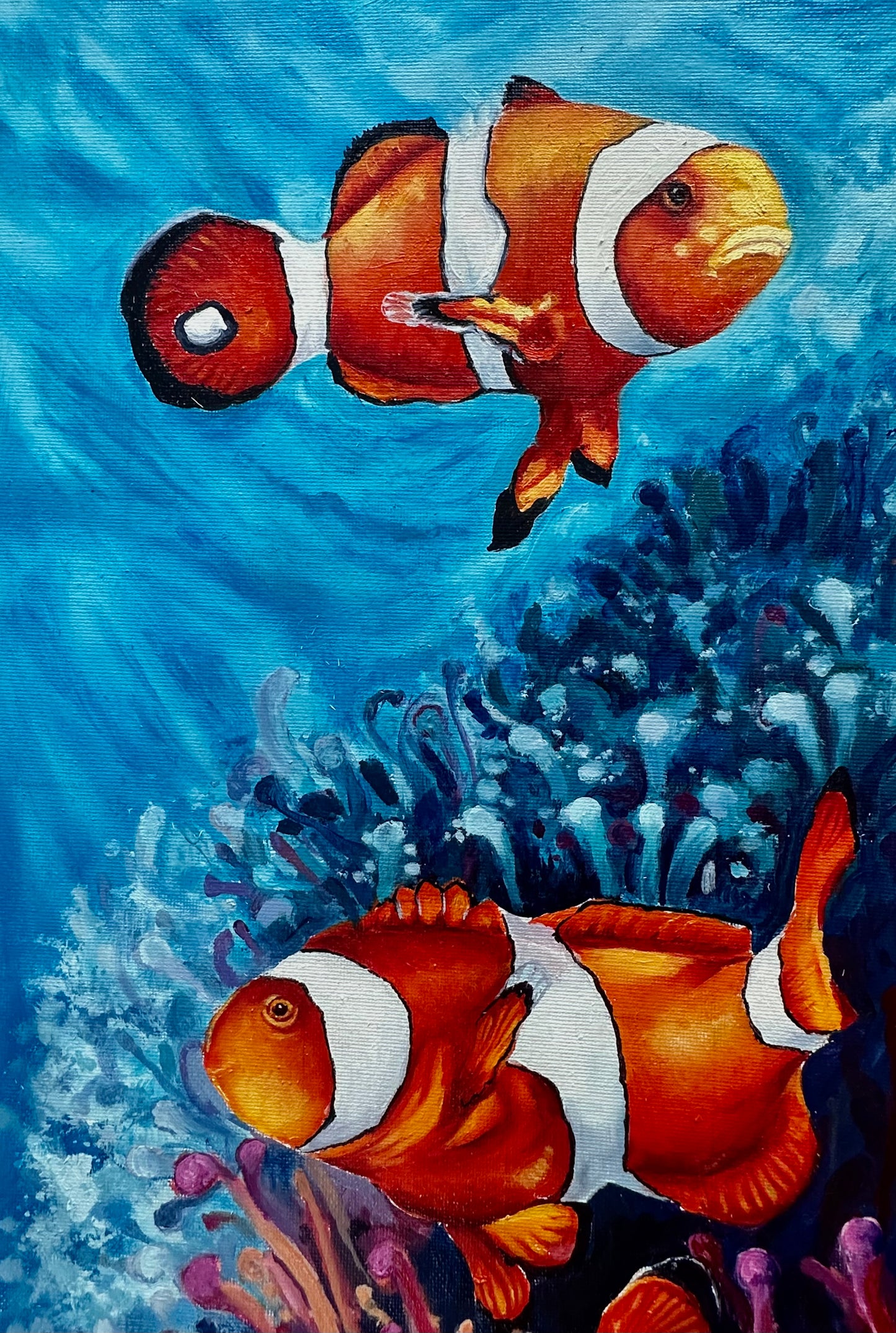 Clowns and Coral 1/3