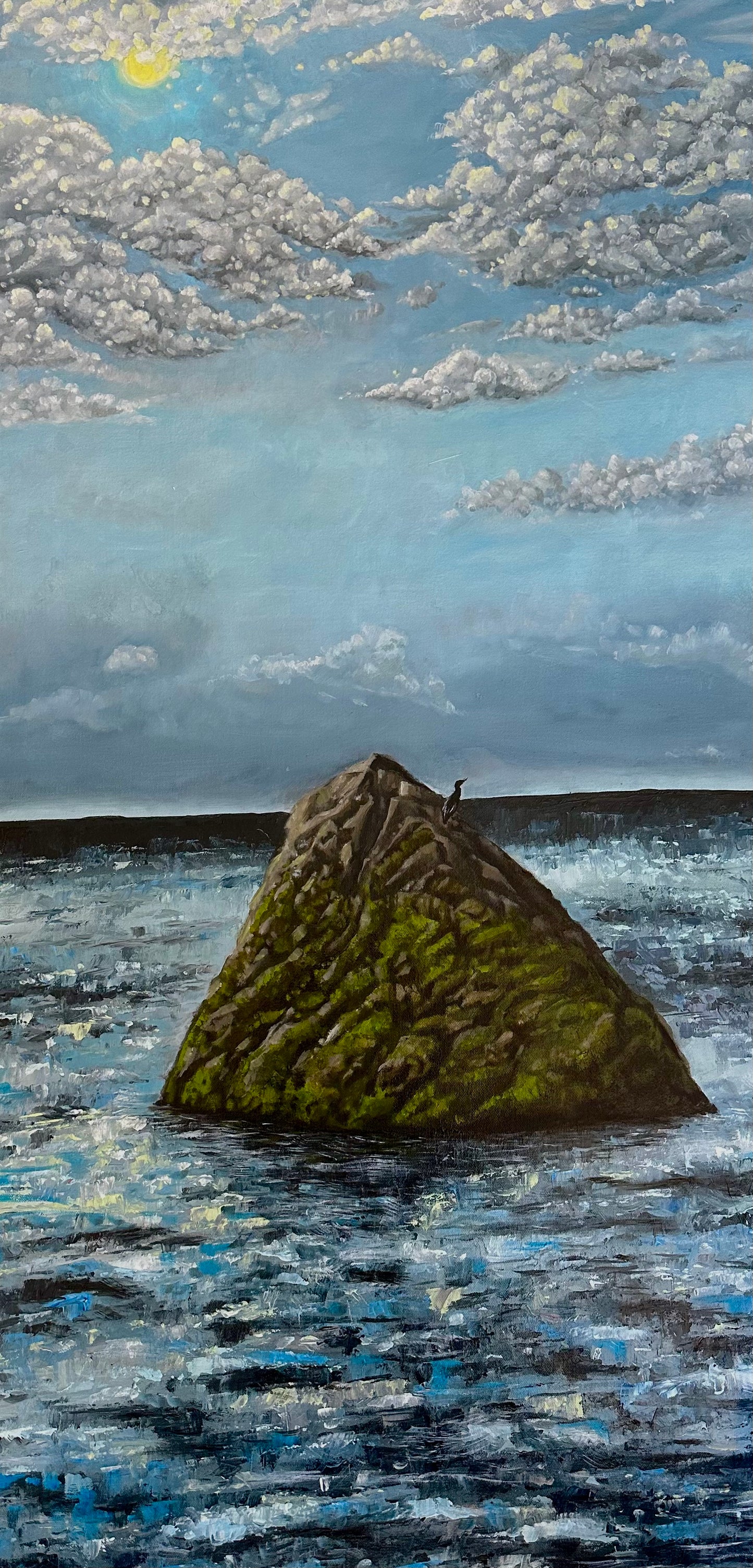 The Lone Cormorant
