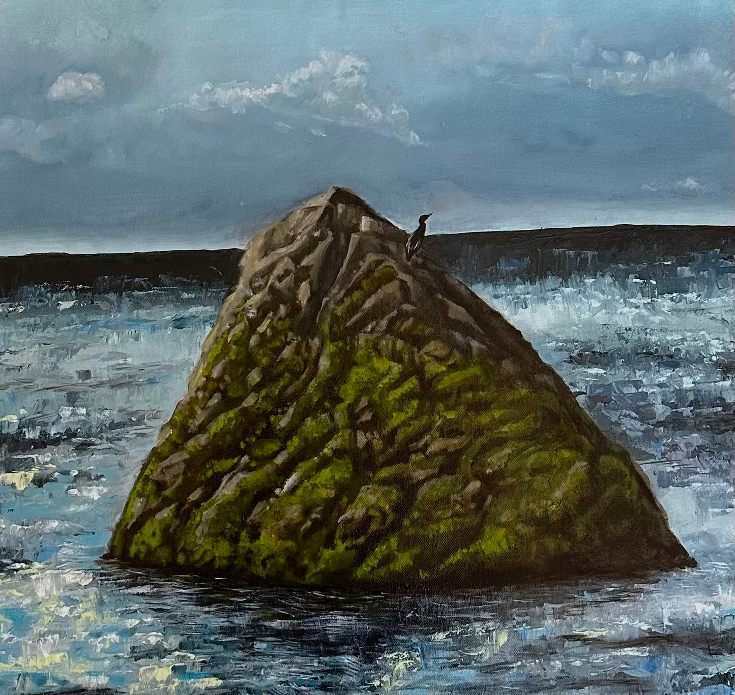 The Lone Cormorant