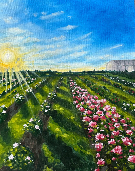 “Peony field”