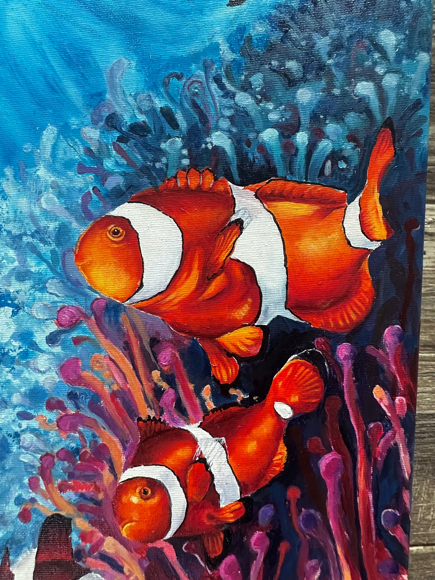 Clowns and Coral 2/3