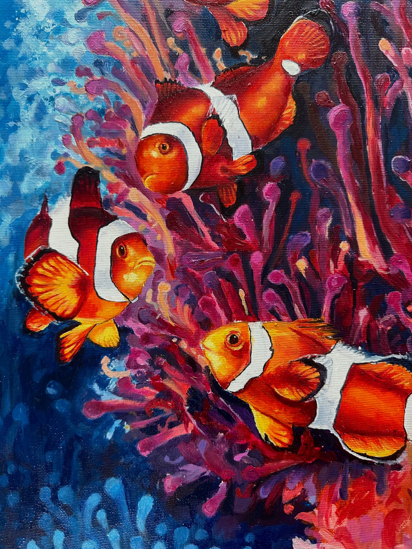 Clowns & Coral 3/3