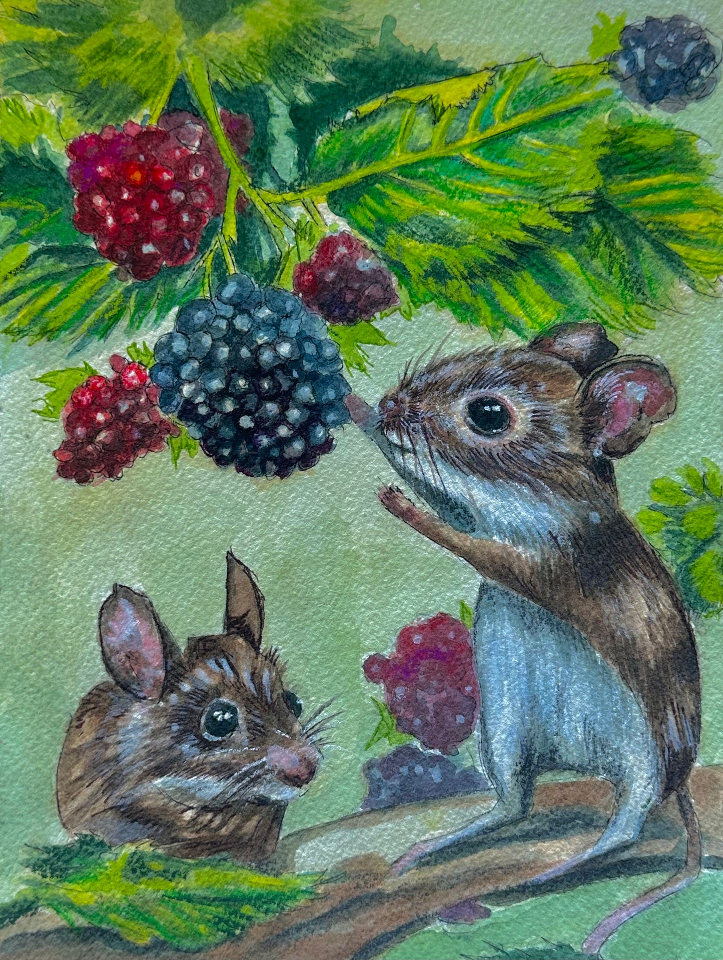 “Merry mice” holiday card