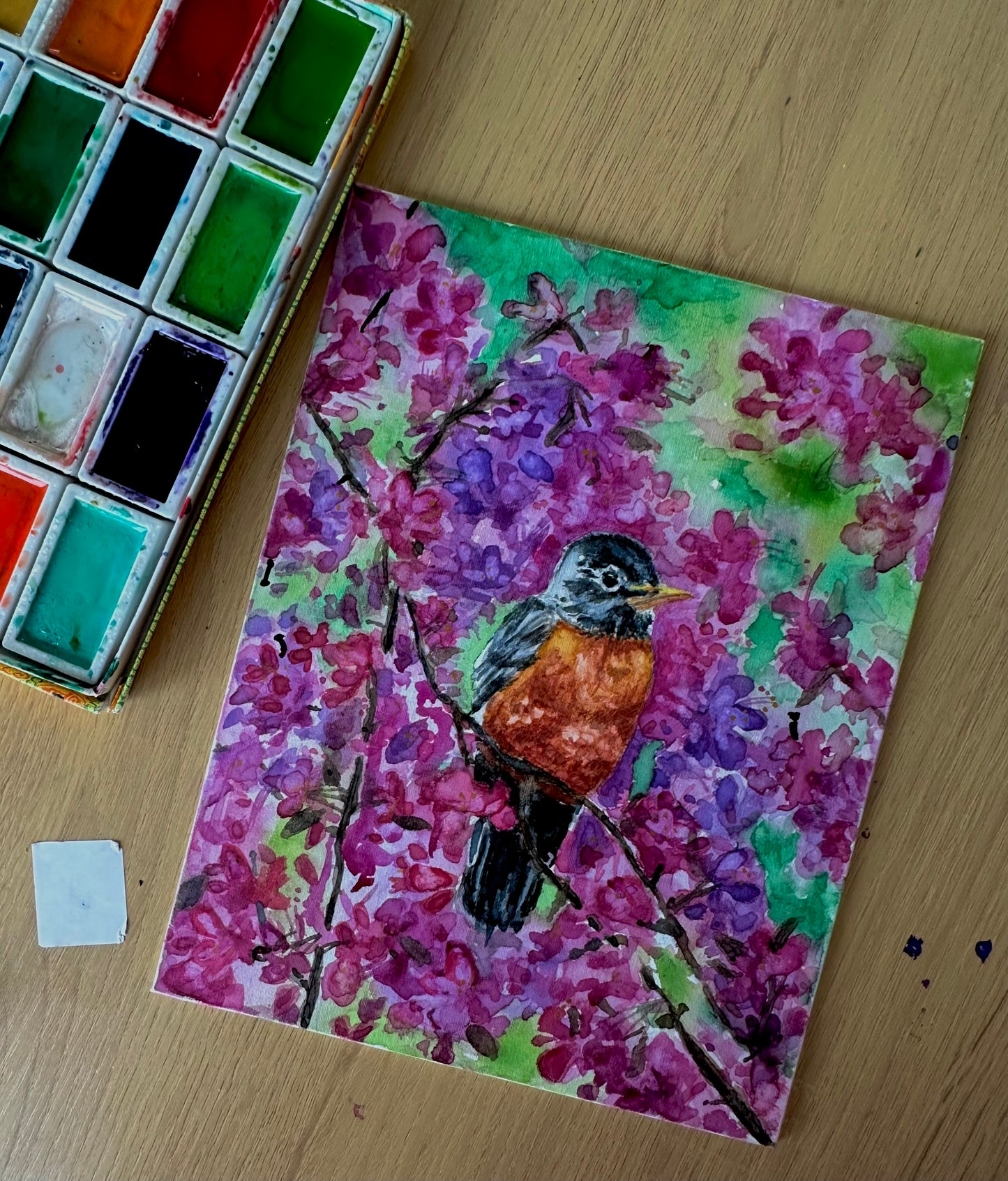 Cherry Blossom Robin 12x12 print