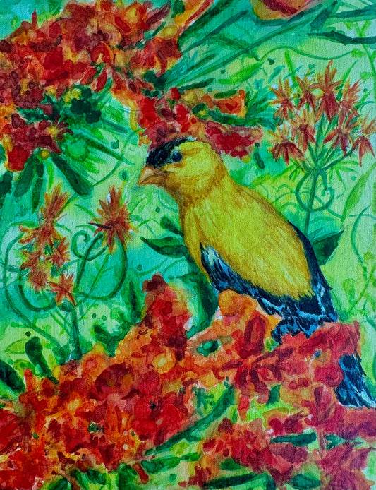 Gold finch 12x12 print